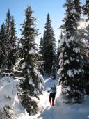 Klik za večjo sliko